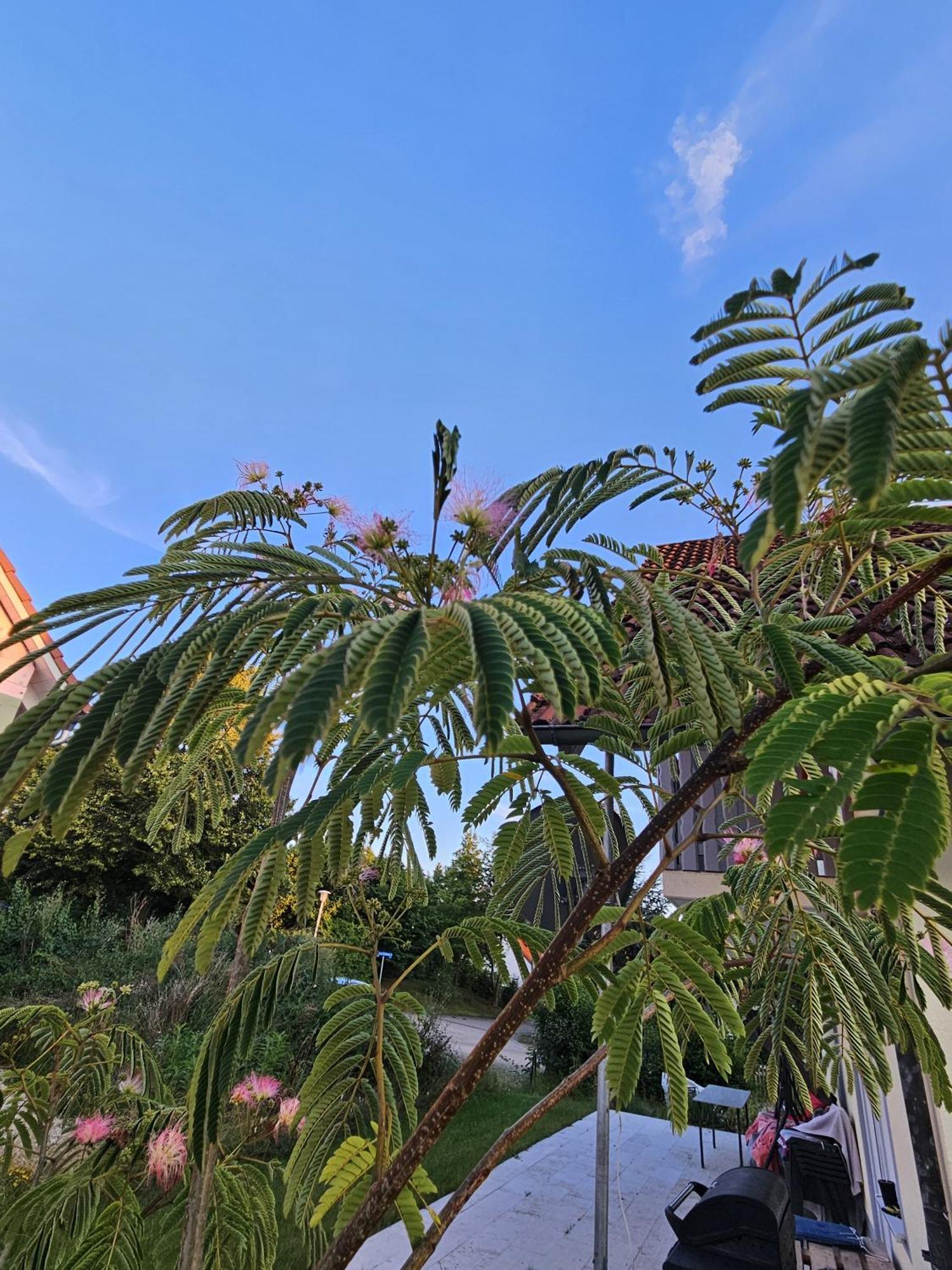 Ferienwohnung Auszeit Solnhofen ภายนอก รูปภาพ
